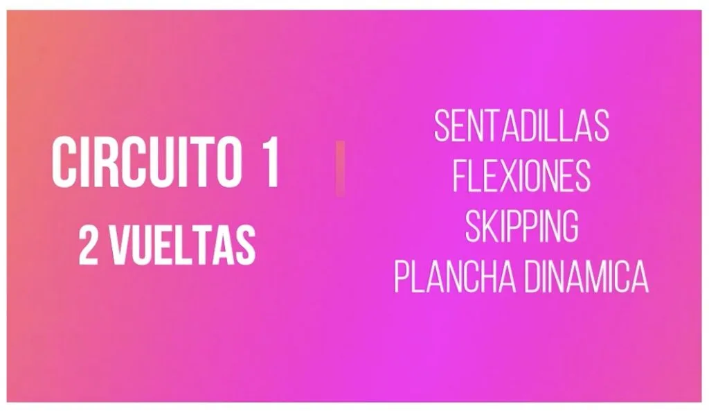circuito-1
