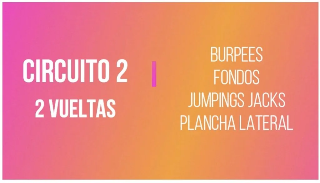 circuito-2
